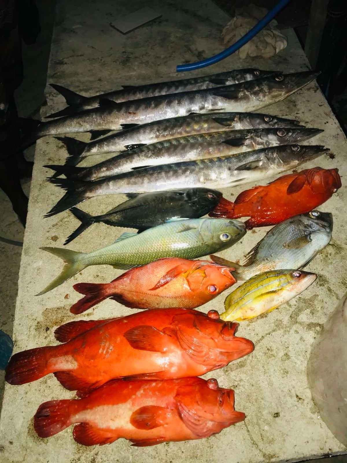 Sunny Beach Thoddoo Ngoại thất bức ảnh